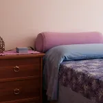 Bed & Breakfast Le Ortensie Di Via Rossetti