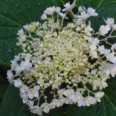 住宿加早餐酒店 奥坦西罗塞蒂住宿加早餐旅馆