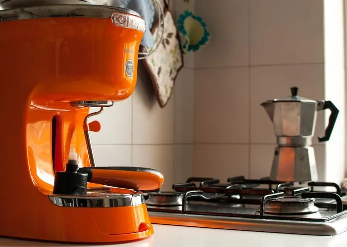 Le Ortensie Di Via Rossetti Trieste