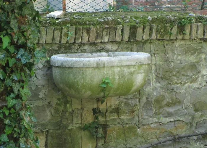 Le Ortensie Di Via Rossetti Bed & Breakfast *