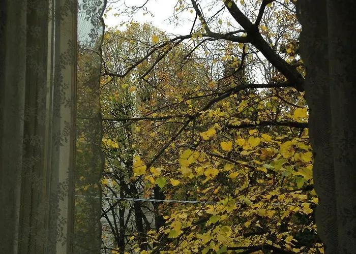 Le Ortensie Di Via Rossetti Bed & Breakfast *