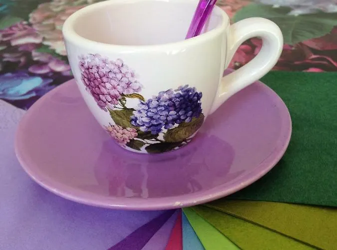 Le Ortensie Di Via Rossetti Bed & Breakfast